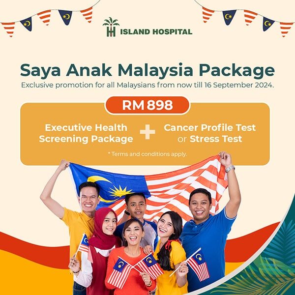 Saya Anak Malaysia Package