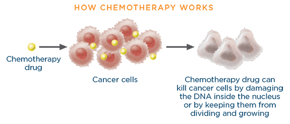 Diagram of How Chemotherapy Works